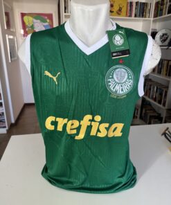 Palmeiras Home treino 2024 G na etiqueta nova sem defeito Modelo jogador