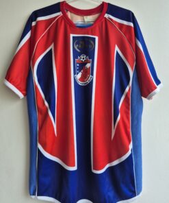 Barras Piauí G Anos 2000 Usada em Jogo Nº 20 Away Original