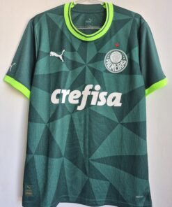 Palmeiras M Puma 2023 Modelo Jogador Home Original
